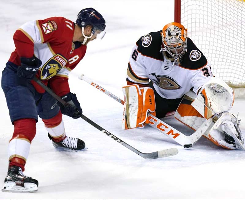 Jogos Florida Panthers