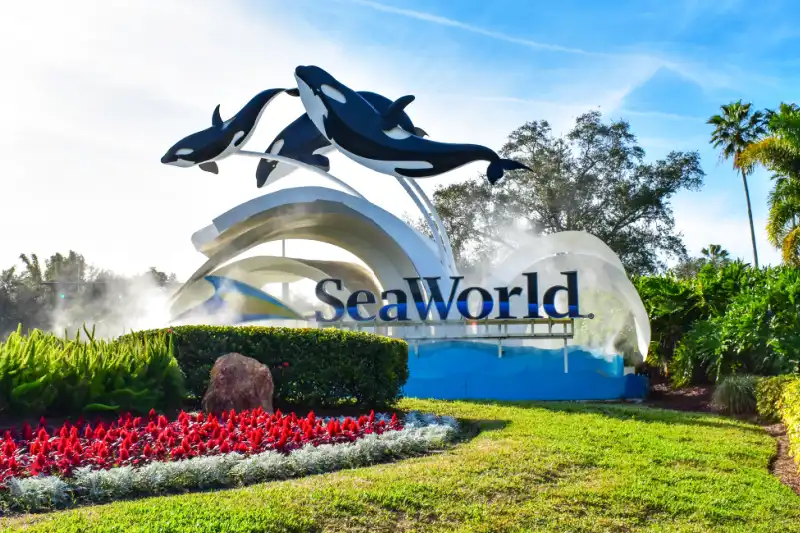 SeaWorld 60 anos 