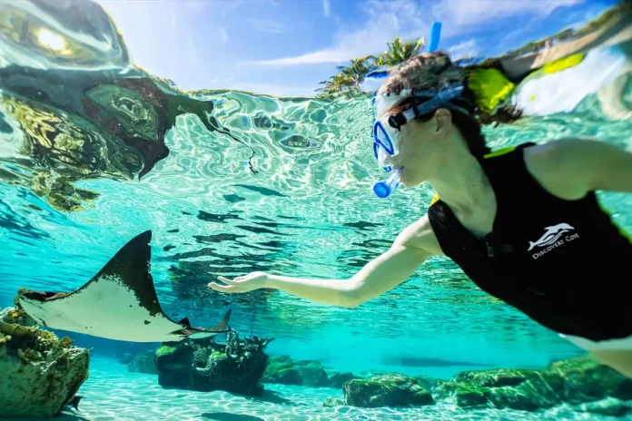 Discovery Cove novidades