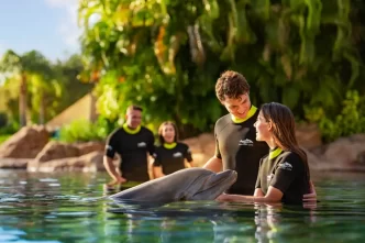 Discovery Cove tem oferta de fim de ano com descontos exclusivos