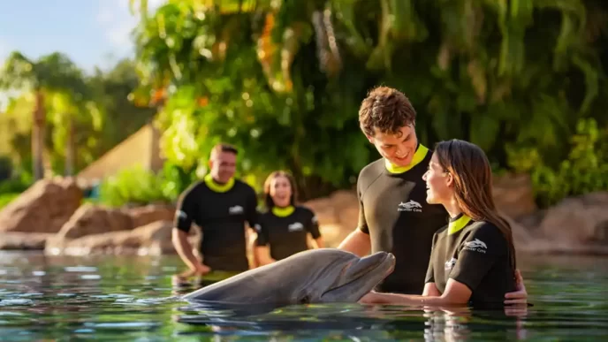 Discovery Cove tem oferta de fim de ano com descontos exclusivos