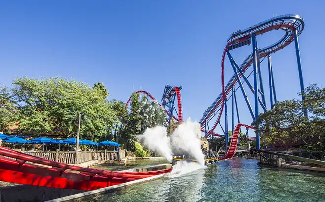 Wild Summer Busch Gardens