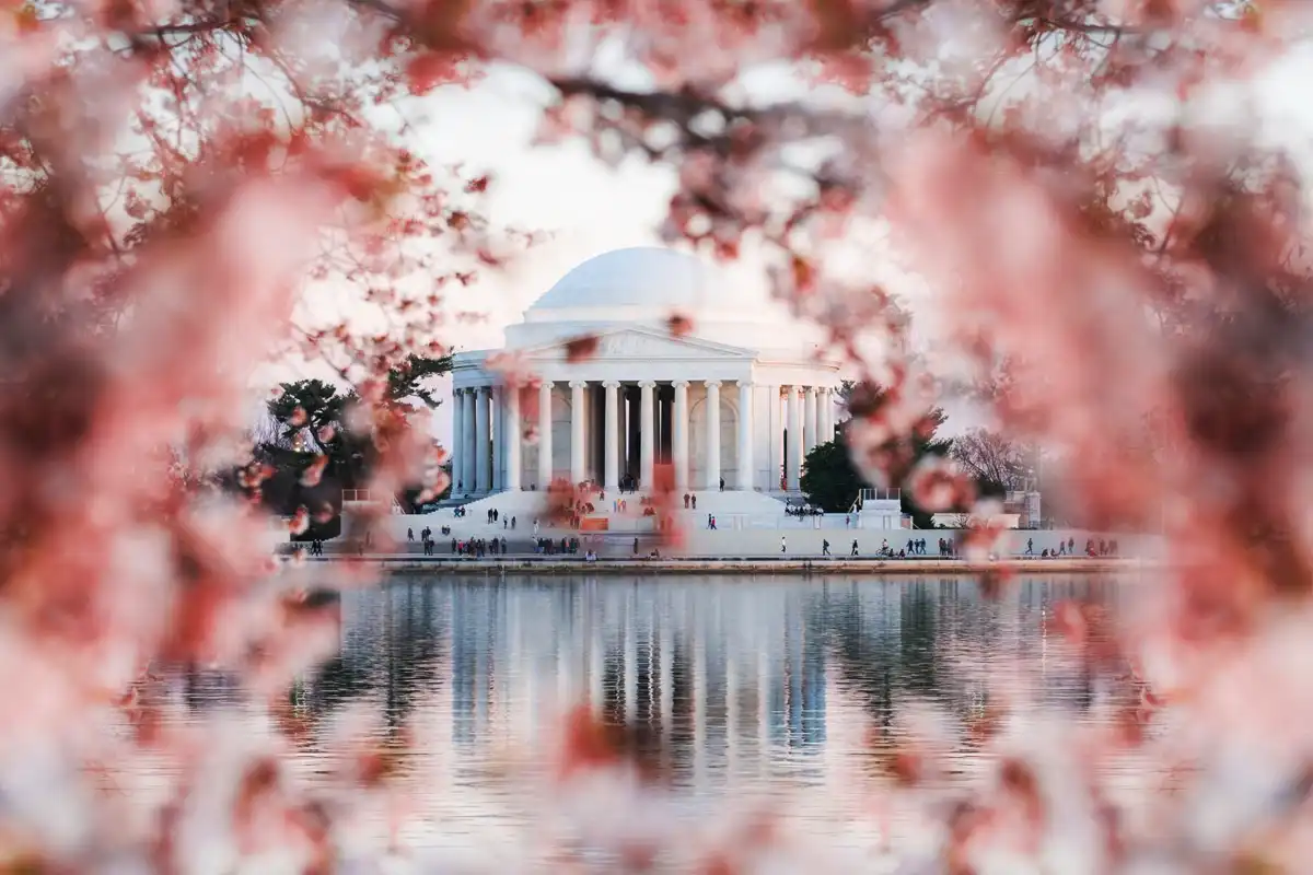 Washington primavera