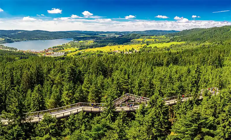 Descubra a República Tcheca das alturas: Vistas panorâmicas, trilhas e pontes suspensas