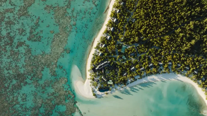 Observação de baleias Jubarte no Tahiti – uma experiência única no The Brando Tetiaroa