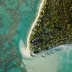 Observação de baleias Jubarte no Tahiti – uma experiência única no The Brando Tetiaroa